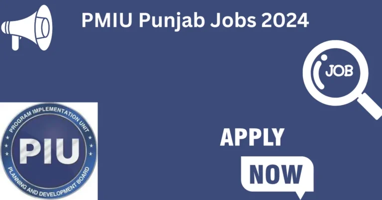 PMIU Punjab Jobs 2024