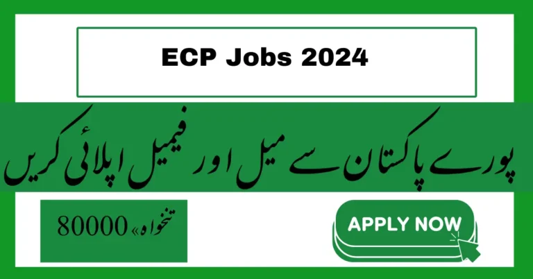 ECP Jobs 2024