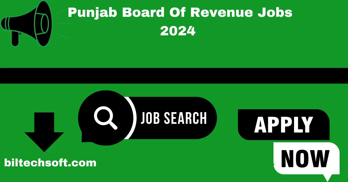 Punjab Board Of Revenue Jobs 2024