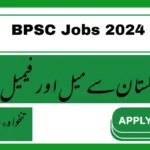 BPSC Jobs 2024