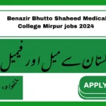 Benazir Bhutto Shaheed Medical College Mirpur jobs 2024