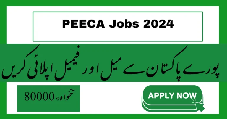 PEECA Jobs 2024