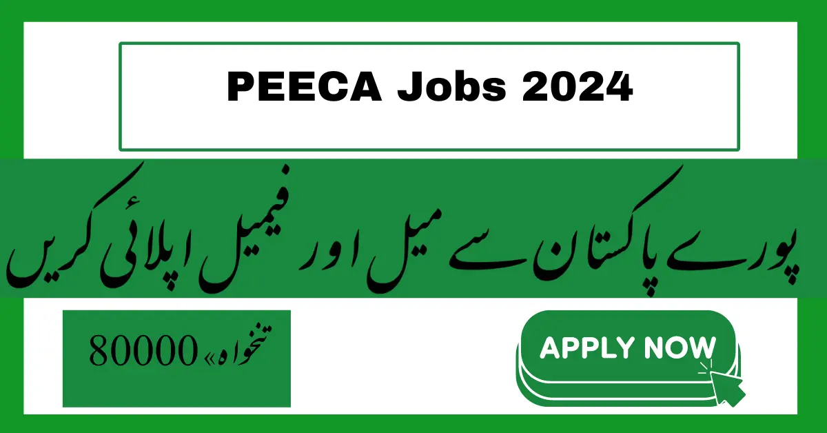 PEECA Jobs 2024