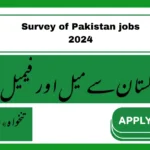 Survey of Pakistan jobs 2024